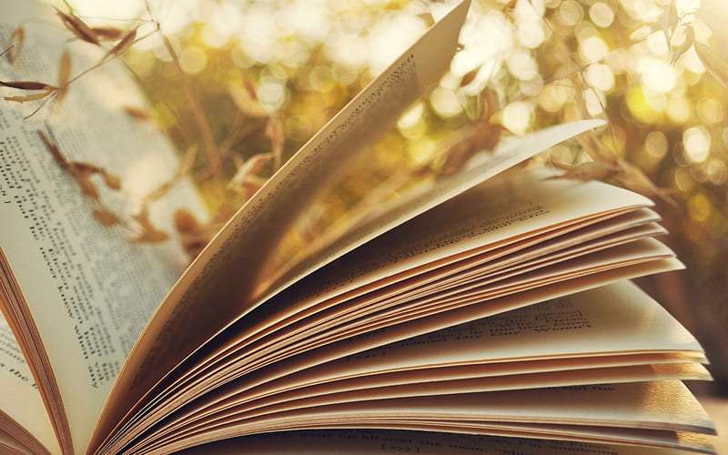 "close-up of board books with thick, durable cardboard pages, best board books for infants